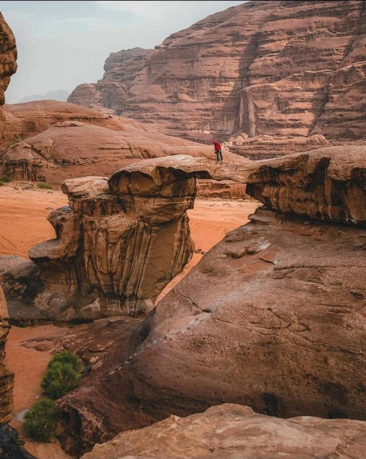 Rehana Rum Camp Wadi Rum Luaran gambar